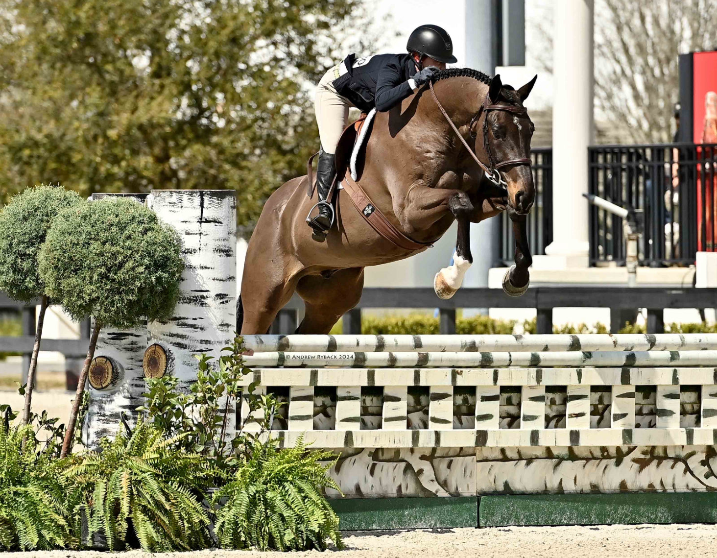 Diamond Gut Liquid Joint