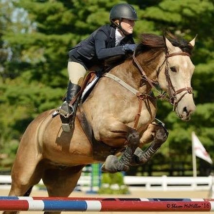 Diamond Gut Liquid Gut